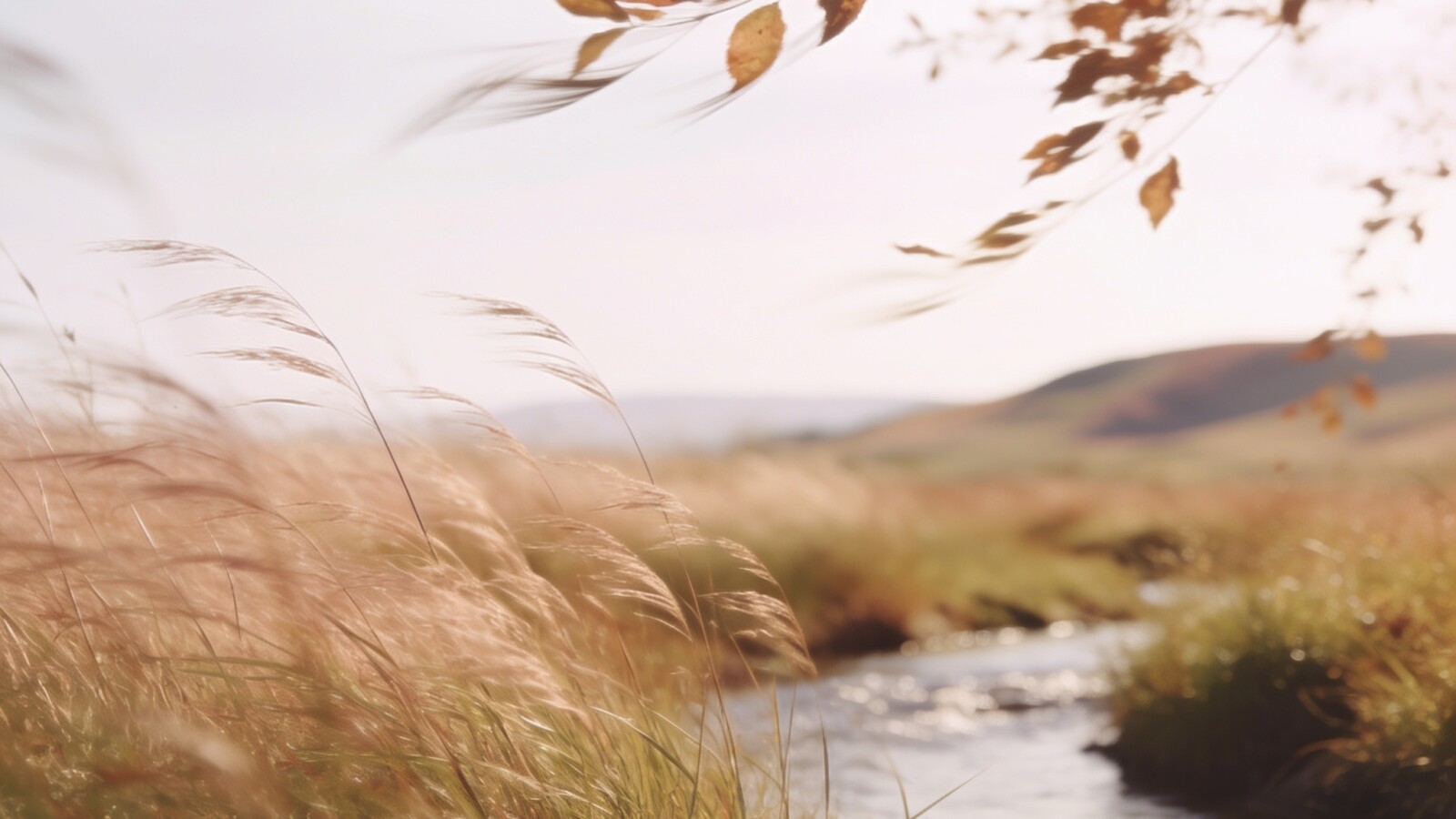 Affirmationen zum Loslassen – 40 Affirmationen zum Loslassen von Gedanken, Erwartungen und Kontrolle